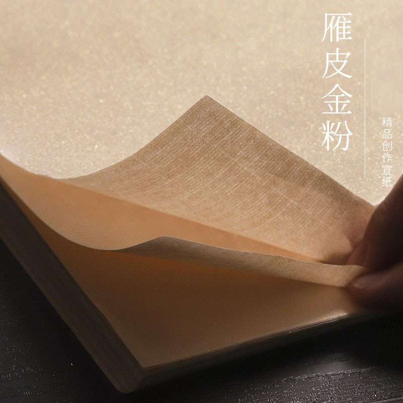 雁皮金粉宣纸书法专用纸手工四尺整张洒金绘画宣纸仿古色黄金粉纸