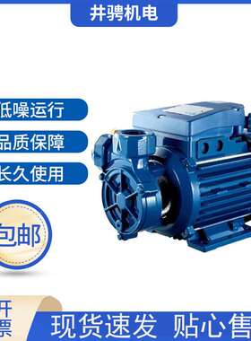 意大利宾泰克水泵CPT45机床高温泵CP45家用冷水自动增压水泵