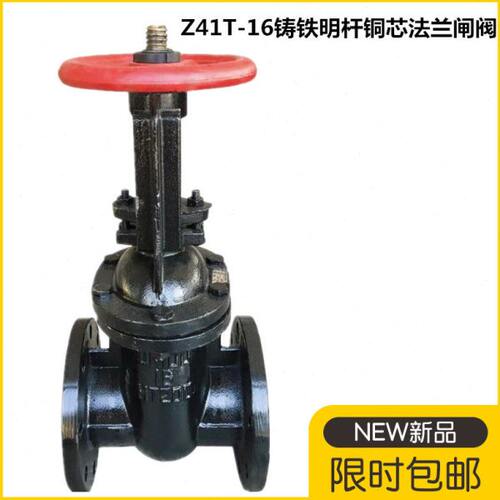 Z41T-16/10明杆法兰闸阀 铸铁铜芯闸板阀DN40 65 80 100 150 200