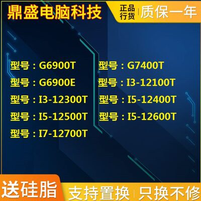 G6900T G7400T I3-12100T 12300T I5-12400T -12500T 13500T