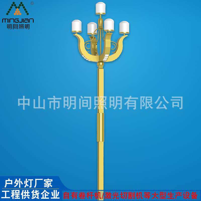 工程直销户外玉兰路灯 市政道路景观8米10米八叉九火LED中华路灯,玩具/童车/益智/积木/模型,遥控车升级件/零配件,淘宝优惠券,粉丝福利购,淘宝优惠卷