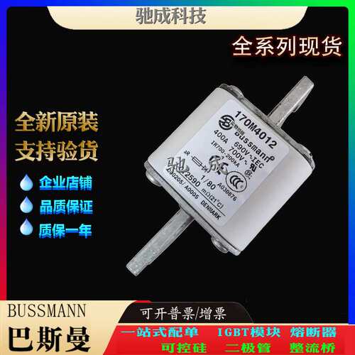 巴斯曼170M4012 170M4013 170M4014 加工制作 零售 原装熔断器