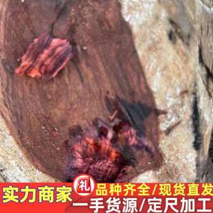 海黄木材 越黄原木 中美洲黄花梨 紫蝴蝶海南黄花梨 墨西哥黄花梨