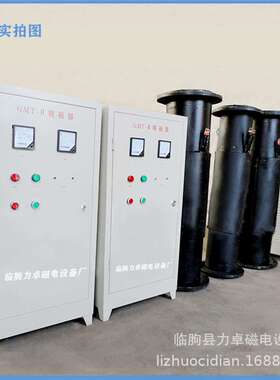 谐合波脱磁器 管道脱磁器 矿浆脱磁器 厂家生产