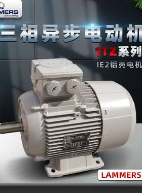 德国电机LAMMERS电机 LAMMERS Motor三相异步电动机
