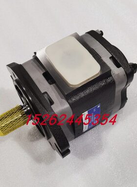 P33V--福.3.5伊特IP IP10-1V- 110H10德国15P3O6V齿轮泵-V-ITIPP3