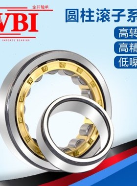 VBI圆柱滚子轴承N2205 2206 2207 2208 2209 2210 2211 2212M