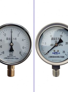 150-盒 耐震  Y -压力表EE-0Y膜1060不锈钢 BF压力表EBF 膜盒Z Y