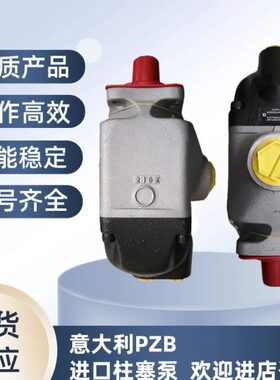 PZB Y60/84R 317008422W0 64意大利斜轴柱塞泵环卫钩臂车专用油泵