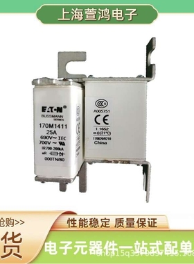 170M6749 170M6750 170M6751 170M6752原厂 低压熔断器直流熔芯