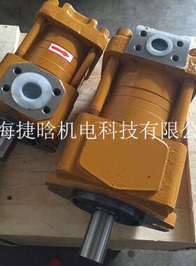 NBZ3-C63F 上海航发 SAEMP 内啮合齿轮泵 低压泵 转向油泵