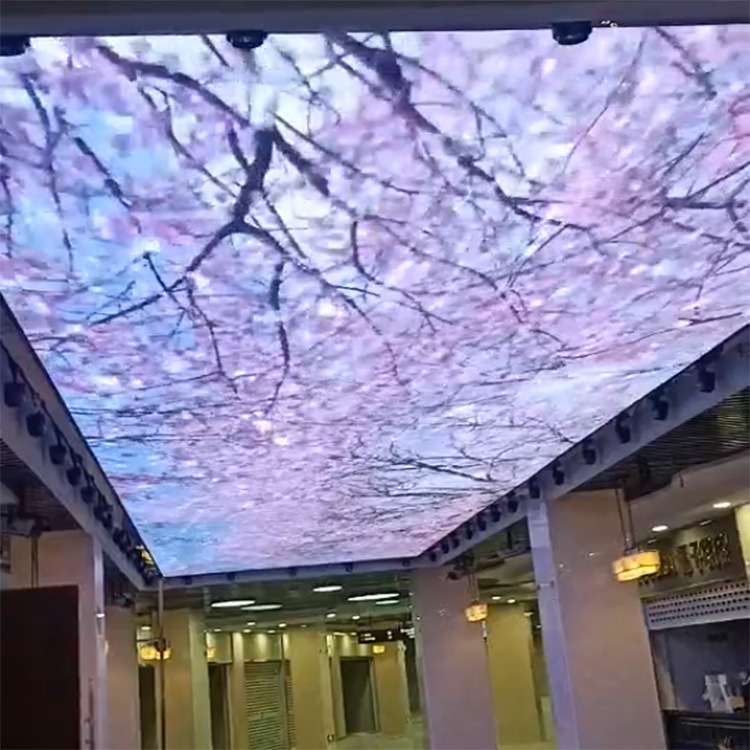 P8户外LED吊顶显示屏 高清全彩天幕楼顶屏商业人行街造价