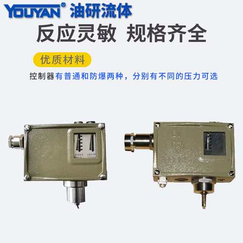 控制器D540/7T防爆型D540/7TK压力控制器D541/7T温度控制器