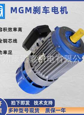 意大利MGM刹车电机刹车马达BA71A4 0.25KW交流制动电机