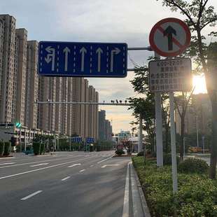 安全警示牌道路指示牌 单柱式人行道机动车道分流指示牌定 做