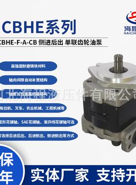 CBHE-F-A-CB 侧进后出铸铁叉车高压泵 欧豹1354/雷沃拖拉机配套