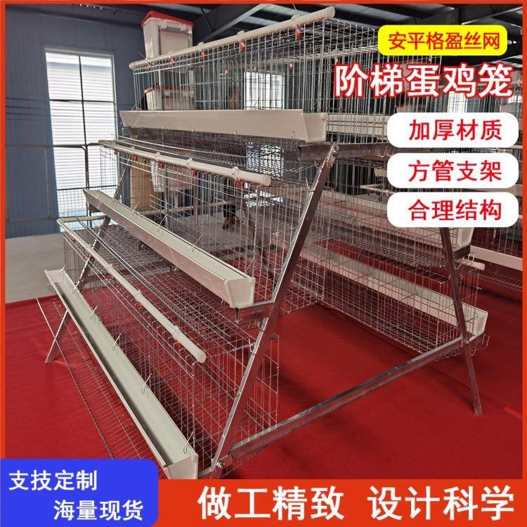 阶梯蛋鸡笼冷热镀锌质优价美三层四层可选可加清粪带
