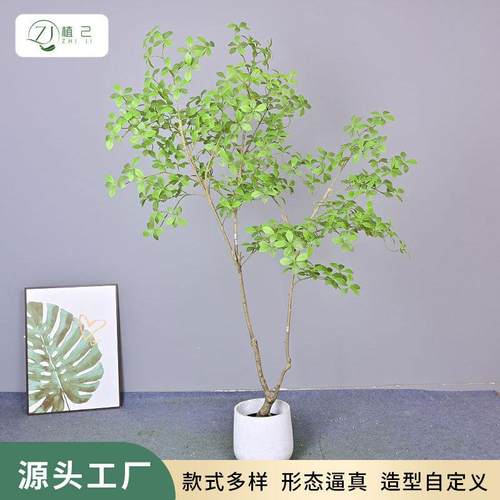 仿真绿植栀子树室内家居客厅大型落地植物摆件装饰造景南天竹