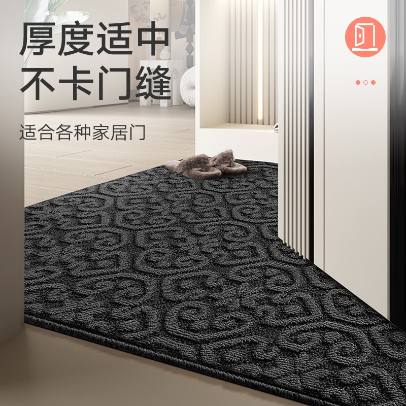 入户地垫2025新款高级门垫家用垫子玄关垫门脚垫耐脏进门门口地毯