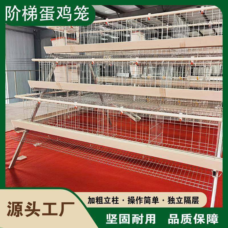 阶梯蛋鸡笼A型鸡笼三层四层鸡舍养殖场蛋鸡笼加粗冷镀锌高材质,农机/农具/农膜,农用防护器具,淘宝优惠券,粉丝福利购,淘宝优惠卷