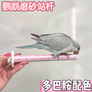 鹦鹉磨砂站杆多巴胺配色磨爪磨嘴棒鸟站杆玄凤牡丹虎皮鸟笼玩具小