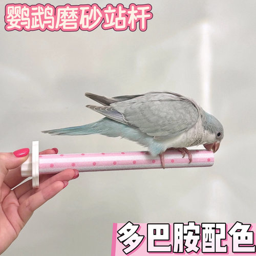 鹦鹉磨砂站杆多巴胺配色磨爪磨嘴棒鸟站杆玄凤牡丹虎皮鸟笼玩具小