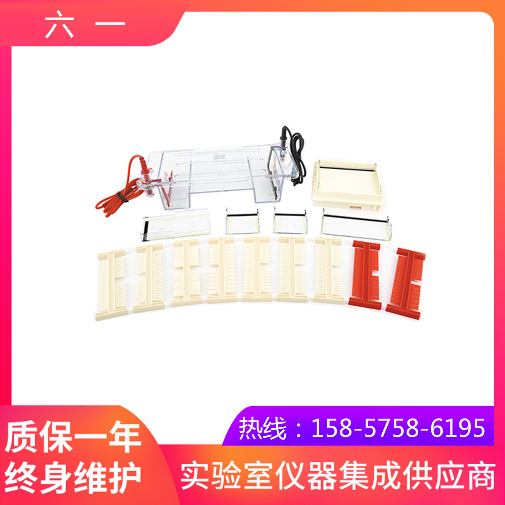 北京六一DYCP-31DN型琼脂糖水平电泳仪(小号)