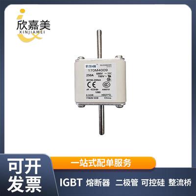 170M4009 170M4010 快速熔断器 电子元器件 库存充足 量大价优