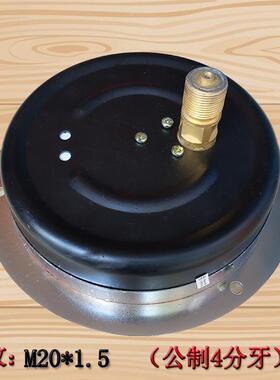 厂家雷尔达轴向压力表Y150ZT 0-1MPAMPA面板式真空压力表水压力表