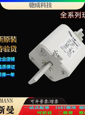 巴斯曼170M6086 170M6087 170M6094 大量现货销售 原装熔断器