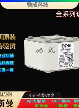 巴斯曼170M6510 170M6511 170M6512 大量现货价格优惠 快速熔断器