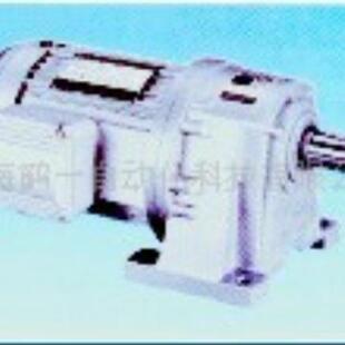 东力电机/东力马达/东力减速机13391269553