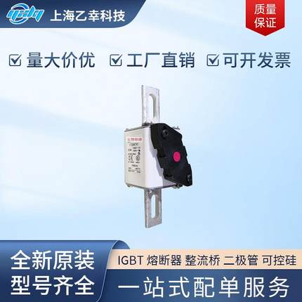 巴斯曼熔断器 170M4760 170M4761 170M4762 170M4763 170M4764