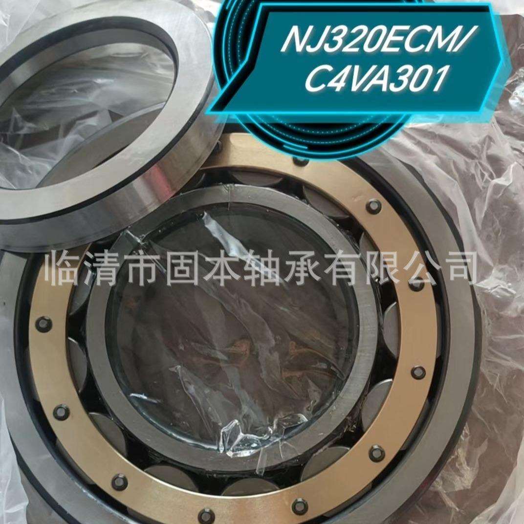 NJ320ECM/C4VA301+HJ320EC 火车牵引电机轴承