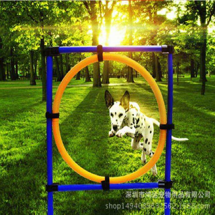 宠物运动器材固定训练用品户外运动狗狗跳环练训练灵敏度跳杆解闷,鲜花速递/花卉仿真/绿植园艺,割草机/草坪机,淘宝优惠券,粉丝福利购,淘宝优惠卷