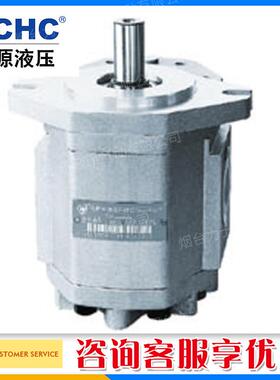 HCHC合肥长源CBF-E5齿轮泵油泵CBF-E510高强度一件也