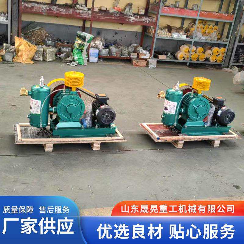 供应回转鼓风机 风压稳定回转鼓风机污水处理低噪音回转风机