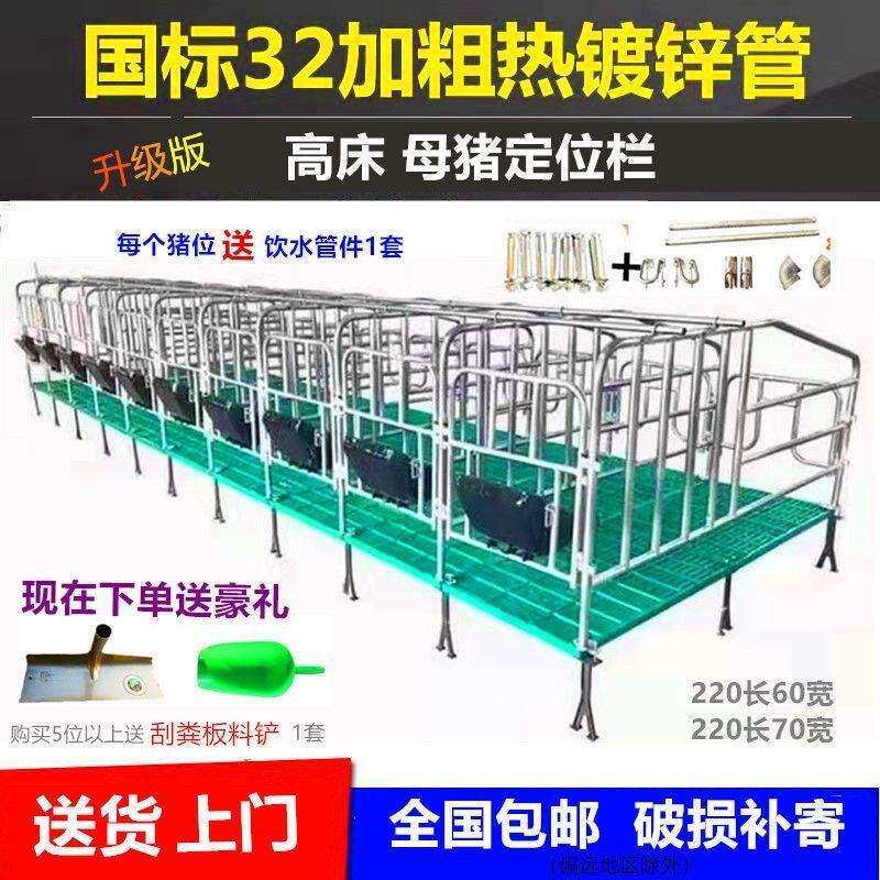 母猪产床简易母猪位落地式产床产保两用多功能床猪场养猪设备