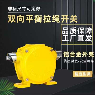 厂家双向平衡拉绳开关LLP2-I-1 KLT2-I-1 限位行程开关自动复位型