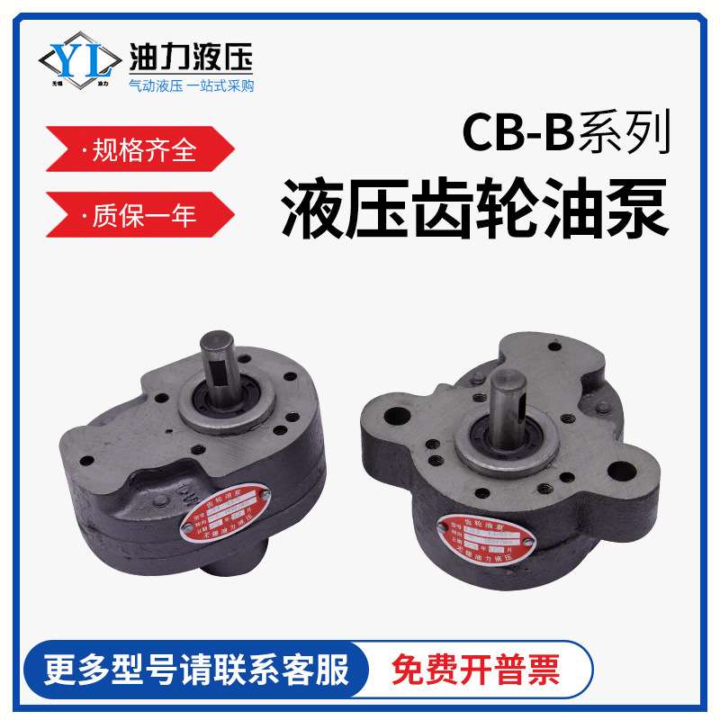 正反向电动油泵齿轮CB-B6RB10B16B32B63机床润滑输油泵液压齿轮泵