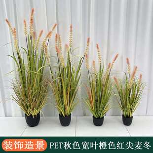 装饰造景网红盆景新款仿真植物雪狐尾草狐尾巴草麦冬带盆盆栽摆件