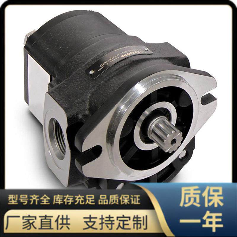 PL.10.10 系列 CASAPPA型齿轮泵, 凯斯帕液压泵