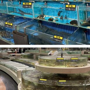 海鲜池生鲜鱼缸标价牌酒店展示牌标签伸缩超市价格牌水产挂牌防水