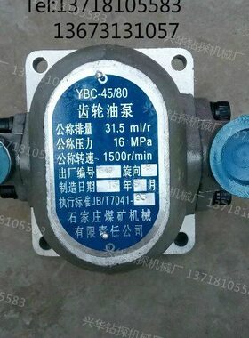 6000- Y/16830C45CB8/-45Y30BC0BC0B-016C Y Y齿轮油泵B/ Y/8-/-