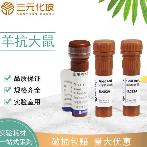 BL032A FITC标记山羊抗大鼠Ig GBL022A AP标记山羊抗大鼠IgG 抗体