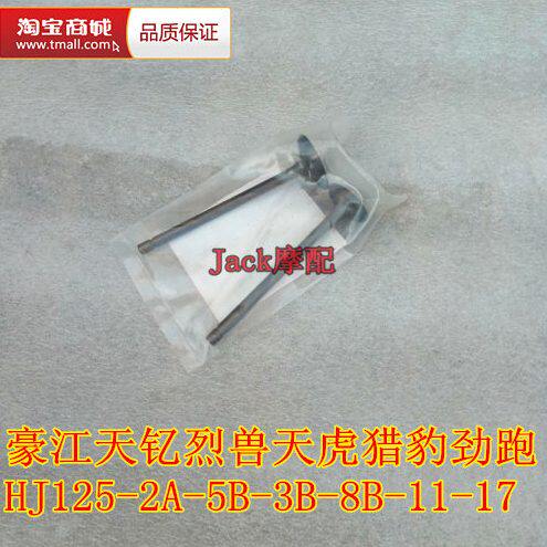 豪江天钇TY烈兽天虎猎豹劲跑HJ125-2A-5B-3B-8B-11-17-18-33气门