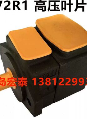 R高压V2P叶片泵2825P -F--RP定R1-R1 1-F-音-低噪-F-量V21RR3V2