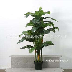 高端造景仿真绿植室内装饰仿真万年青热带雨林造景 喜林芋 万年青