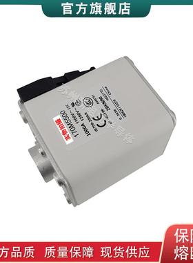 170M5536 5537 5538 5539 5540 巴斯曼bussmann快速熔断器保险丝