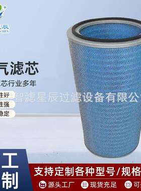 除尘滤芯P190818防火阻燃空气滤芯耐高温空气除尘滤筒粉尘滤芯